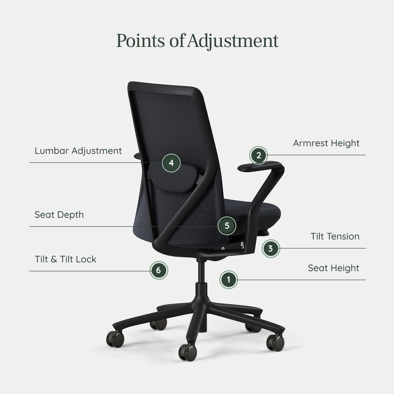 Branch Verve Chair - High Performance Executive Office Chair with Contoured Back and Adjustable Lumbar Support - High Density Foam Cushion and 3D Knit Back - Fits 5' to 6', Up to 275 lbs, Galaxy
