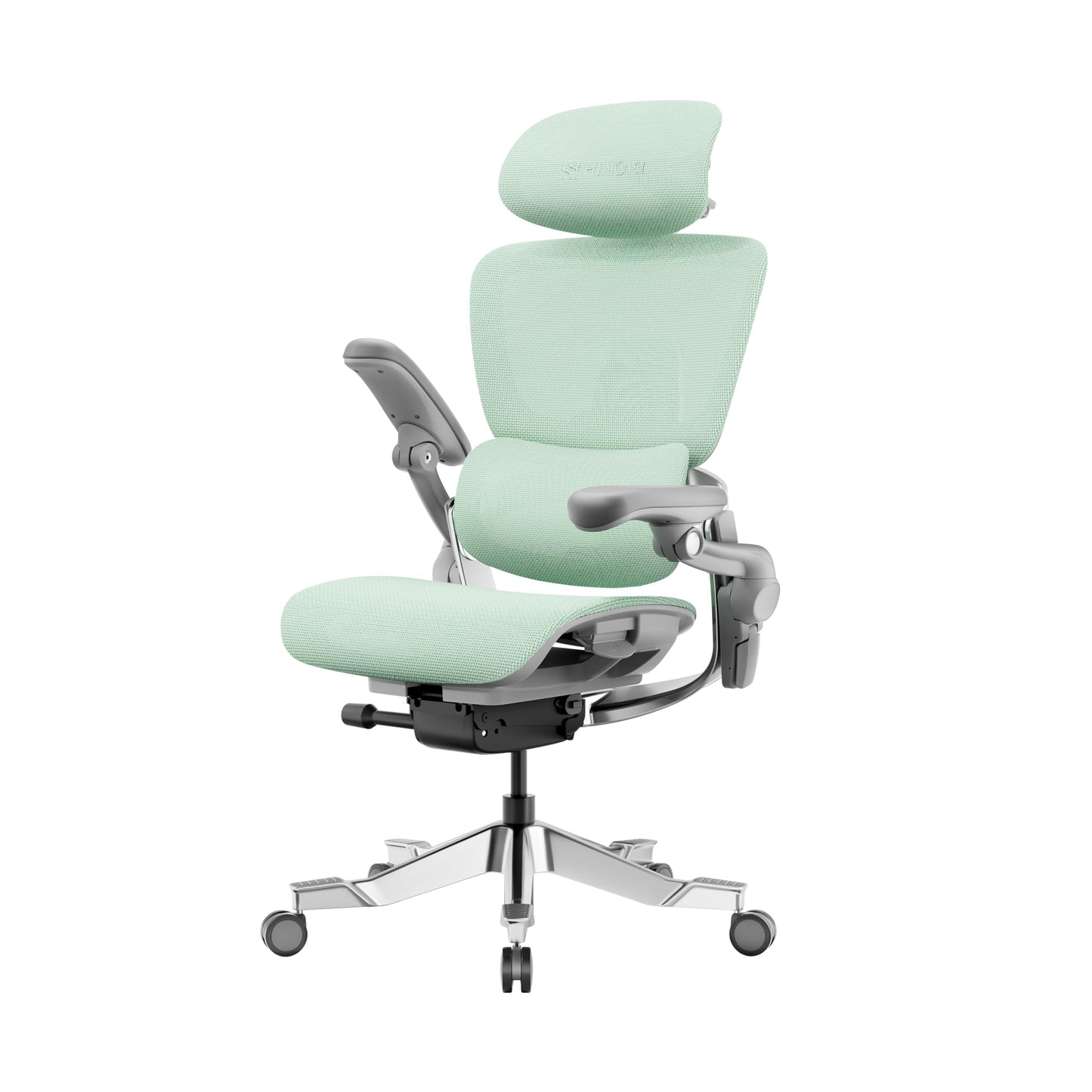 HINOMI H2 Pro Premium Ergonomic Office Chair - Comfy Home Office Desk Computer Chair with Adjustable Back Support, Swivel Wheels, Flip-up Arms, Comfortable Mesh Seat for Desk Work (Green)